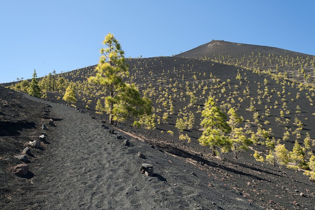 Los mejores senderos para perderse en La Palma