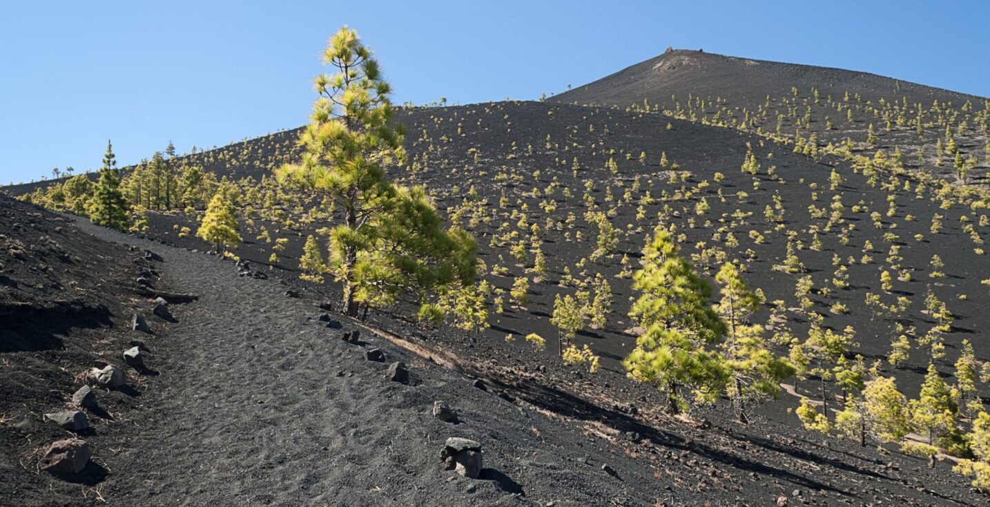 Los mejores senderos para perderse en La Palma